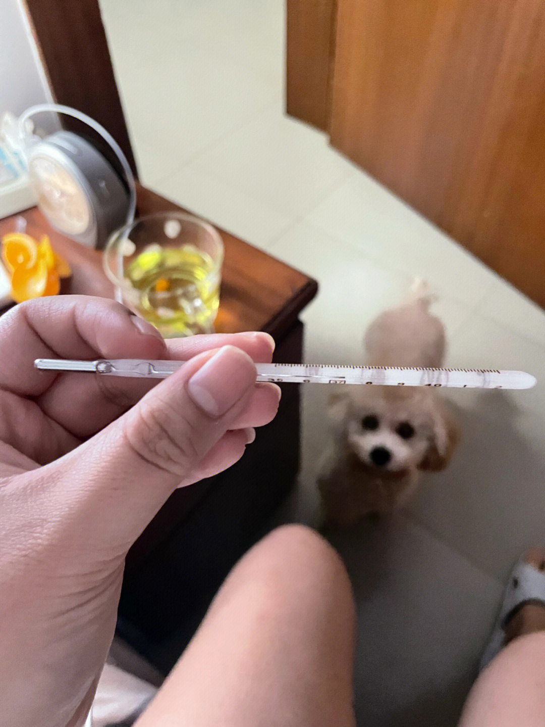 持续七天的低烧一直不退