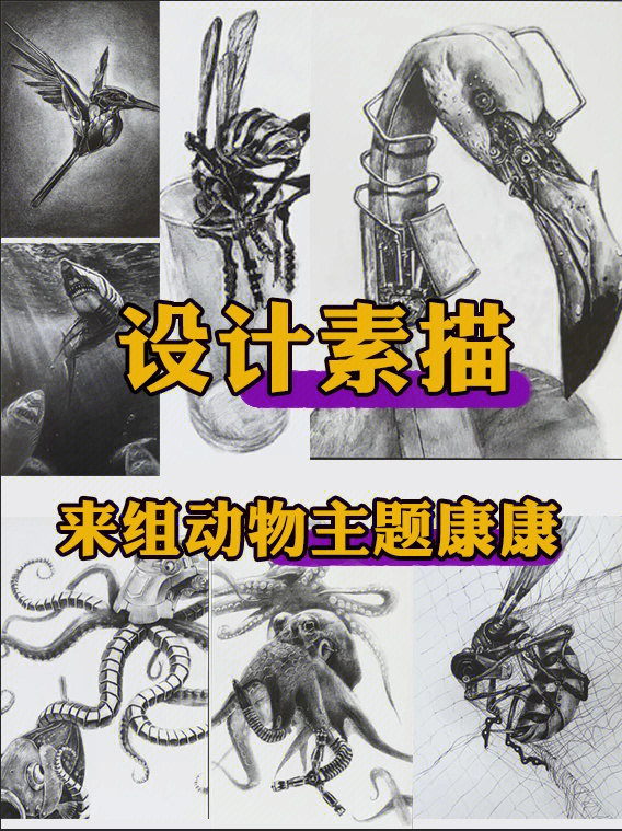 设计素描创意素描设计基础创意动物设计