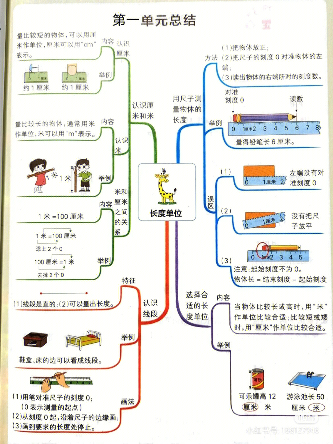 二年级上册知识结构图图片