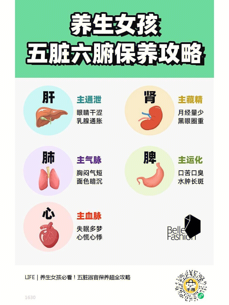 人体器官功能与作用图图片