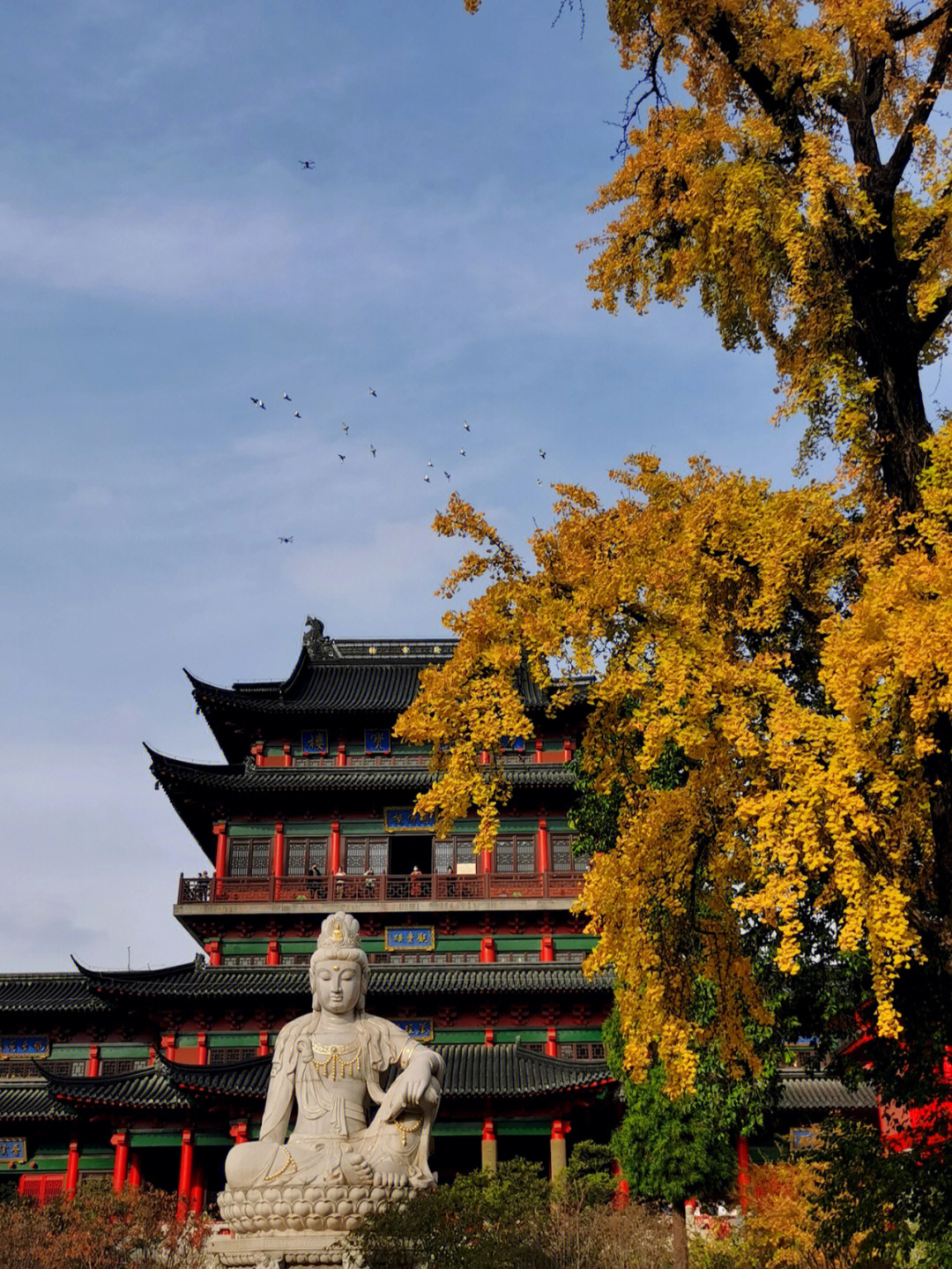 盐城毗卢禅寺图片