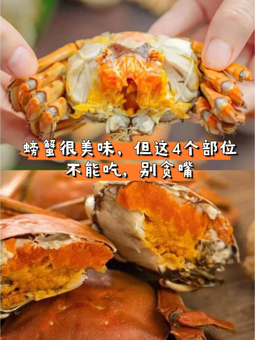 螃蟹很美味但这4个部位不能吃别贪嘴