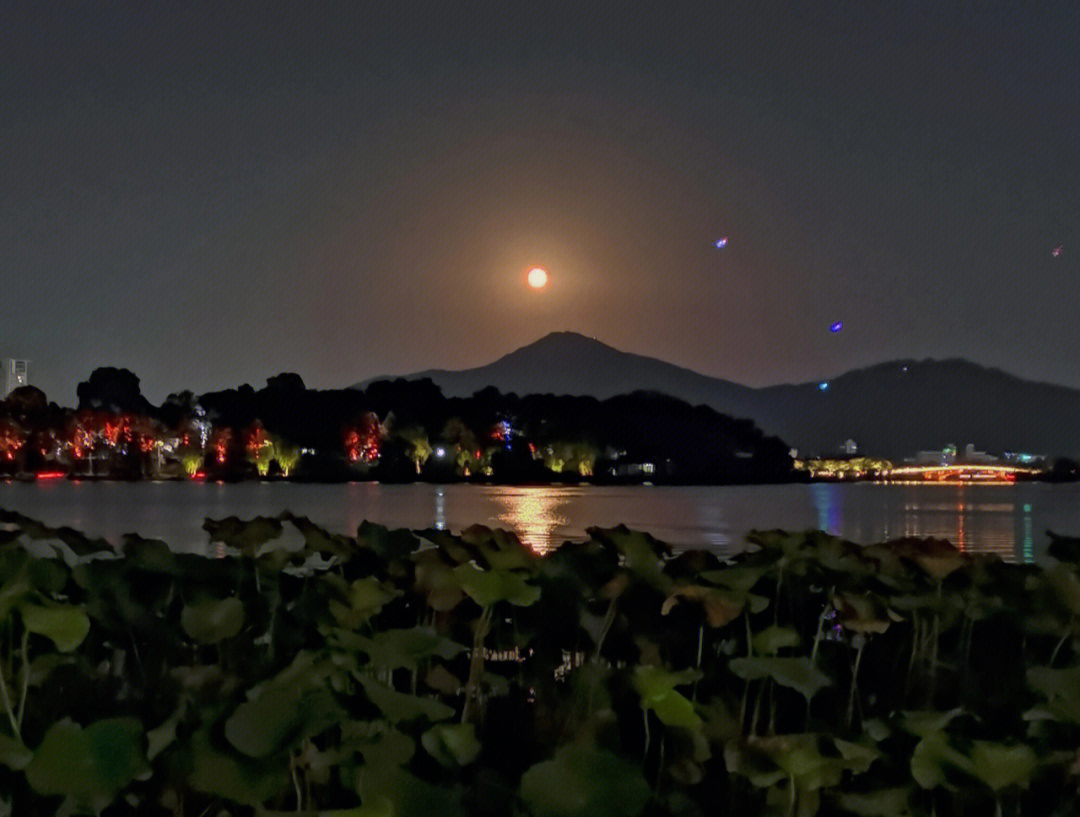 惠州西湖苏堤玩月图片