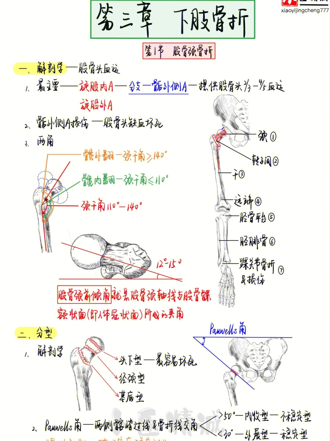 执业医笔记运动系统4