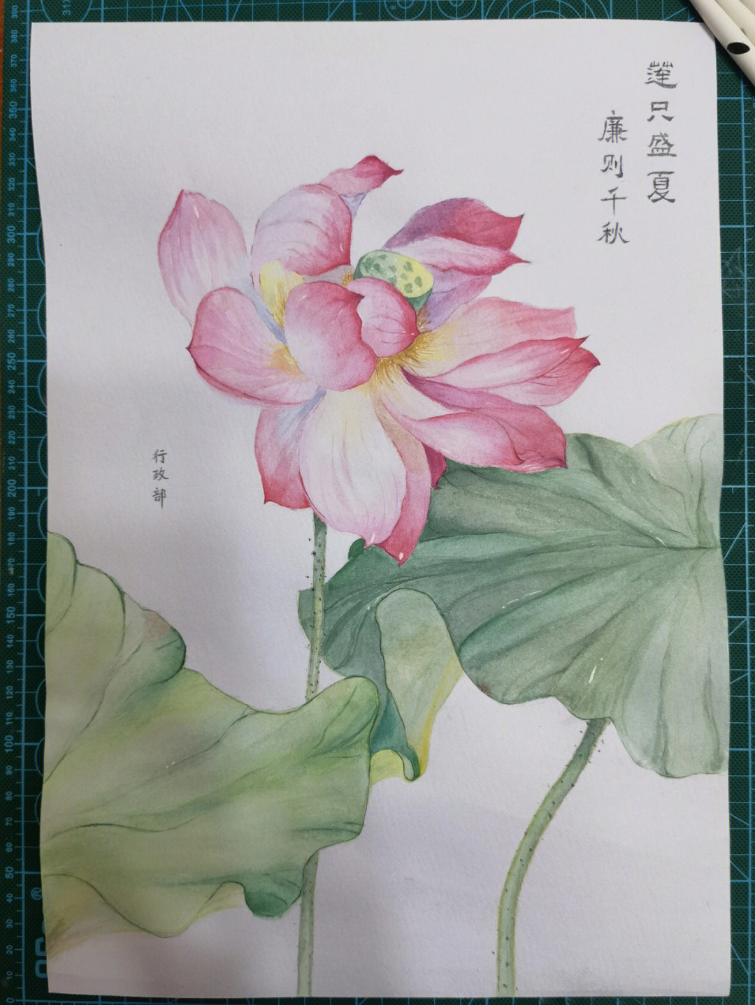 毕竟第一次正儿八经画幅水彩,记录一下#水彩#荷花#廉政绘画