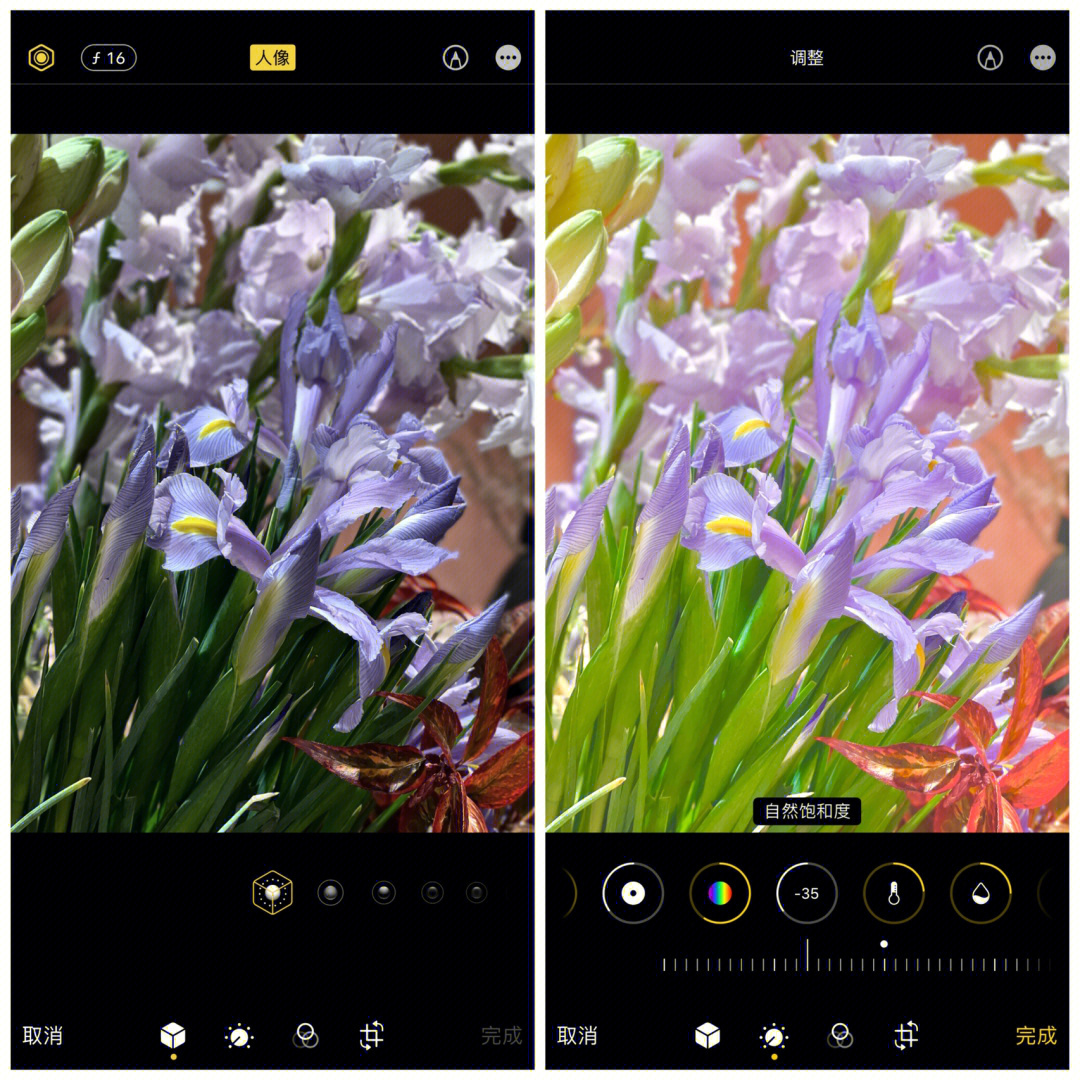 拯救废片iphone原相机调色梦幻鸢尾滤镜