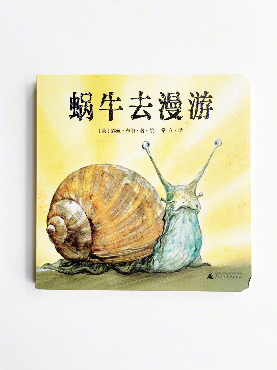 1001绘本蜗牛的人生也是我们的人生呀