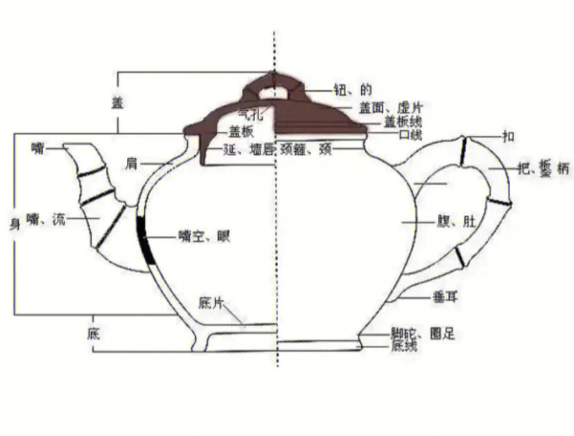 紫砂壶的构造及各重要部件简介上