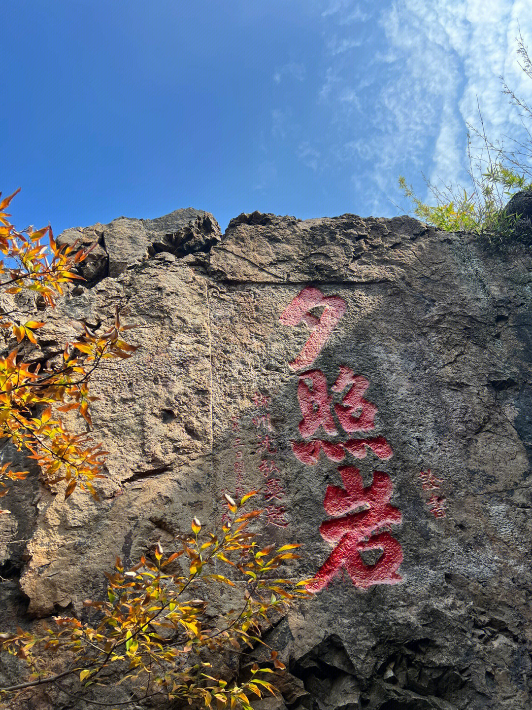 苏州树山景区预约图片