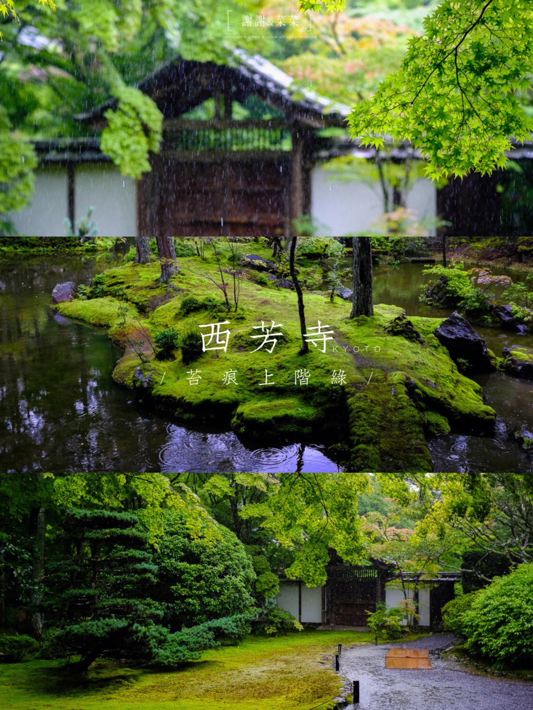 日本西芳寺图片