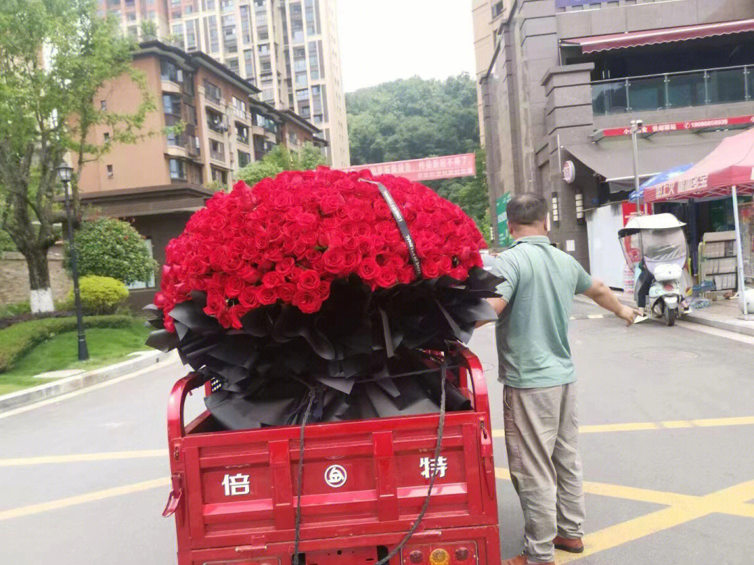 情人节搞笑花坛图片