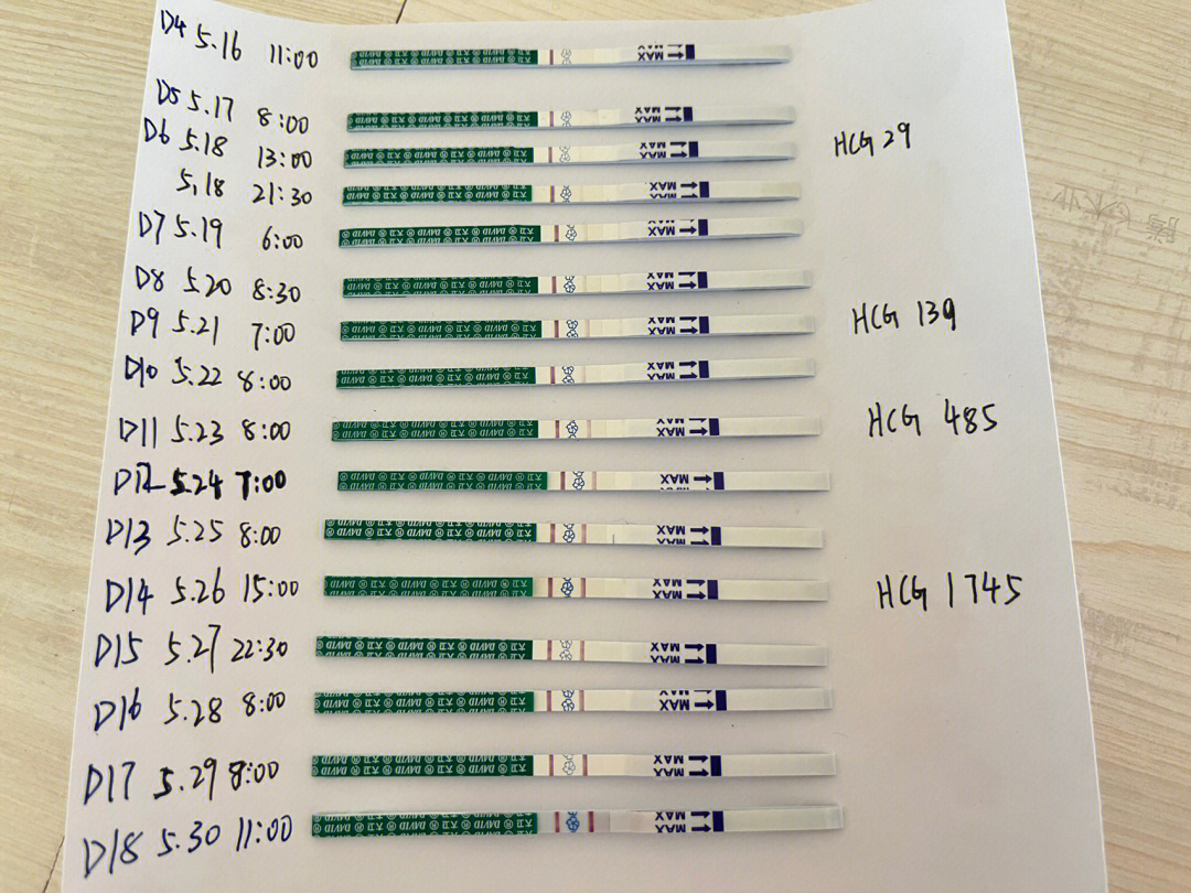 早孕试纸记录图片