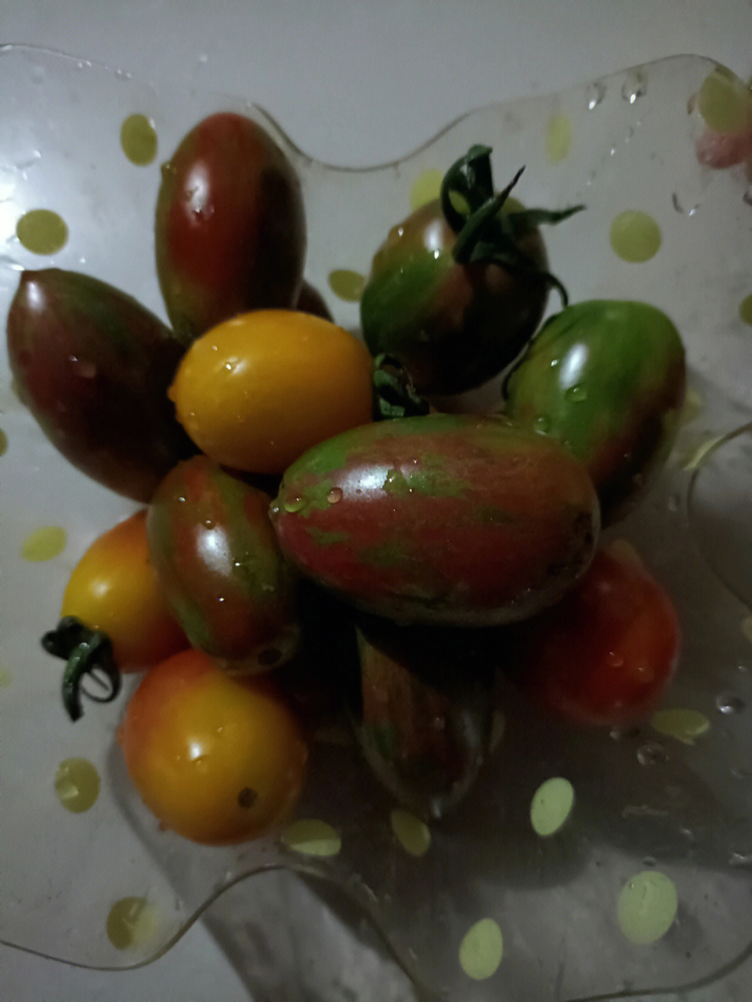小西红柿颜色图片