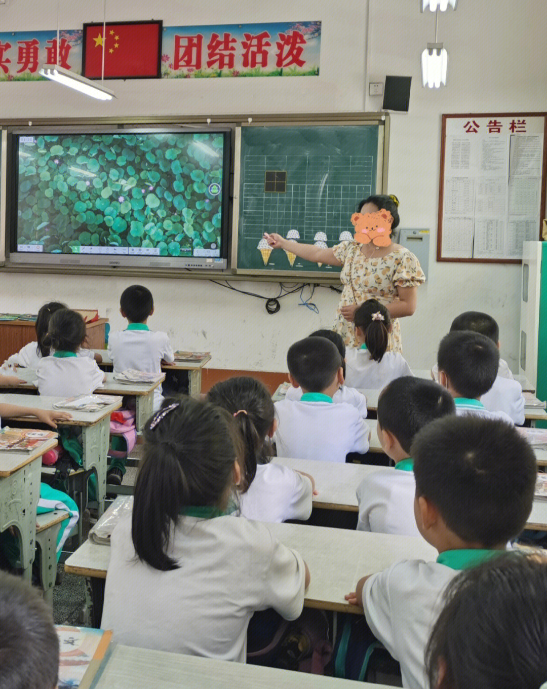 荷叶圆圆公开课完结撒花