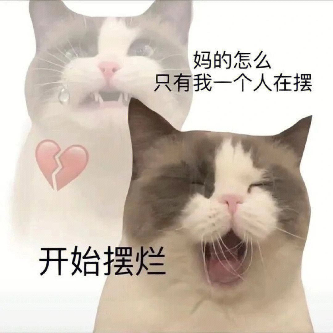 奇奇怪怪的猫猫语录表情包