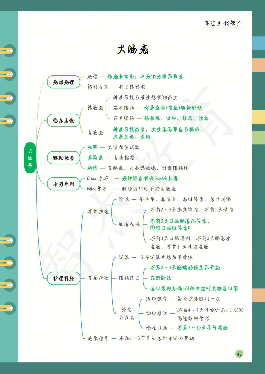 外科思维导图