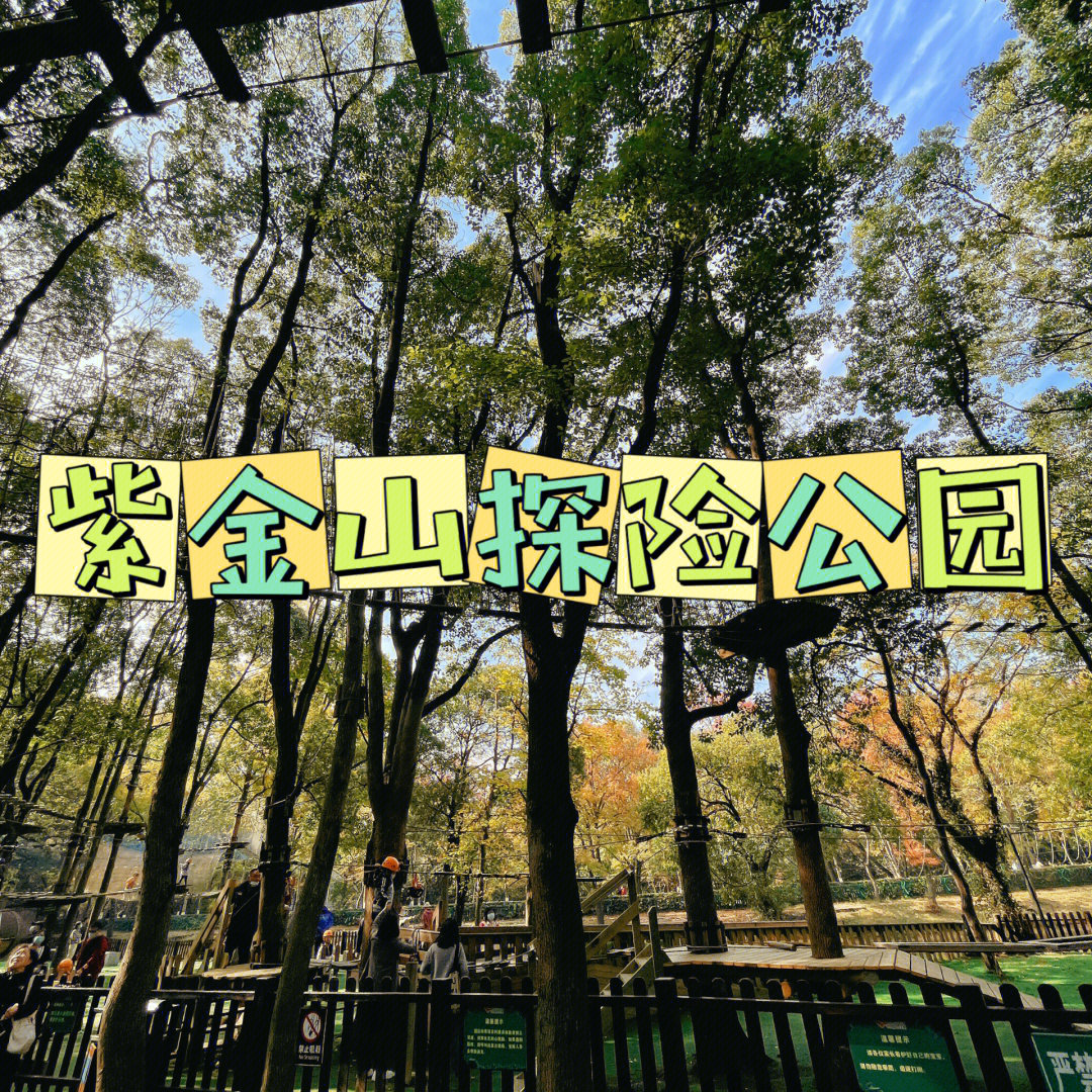 南京紫金山公园图片
