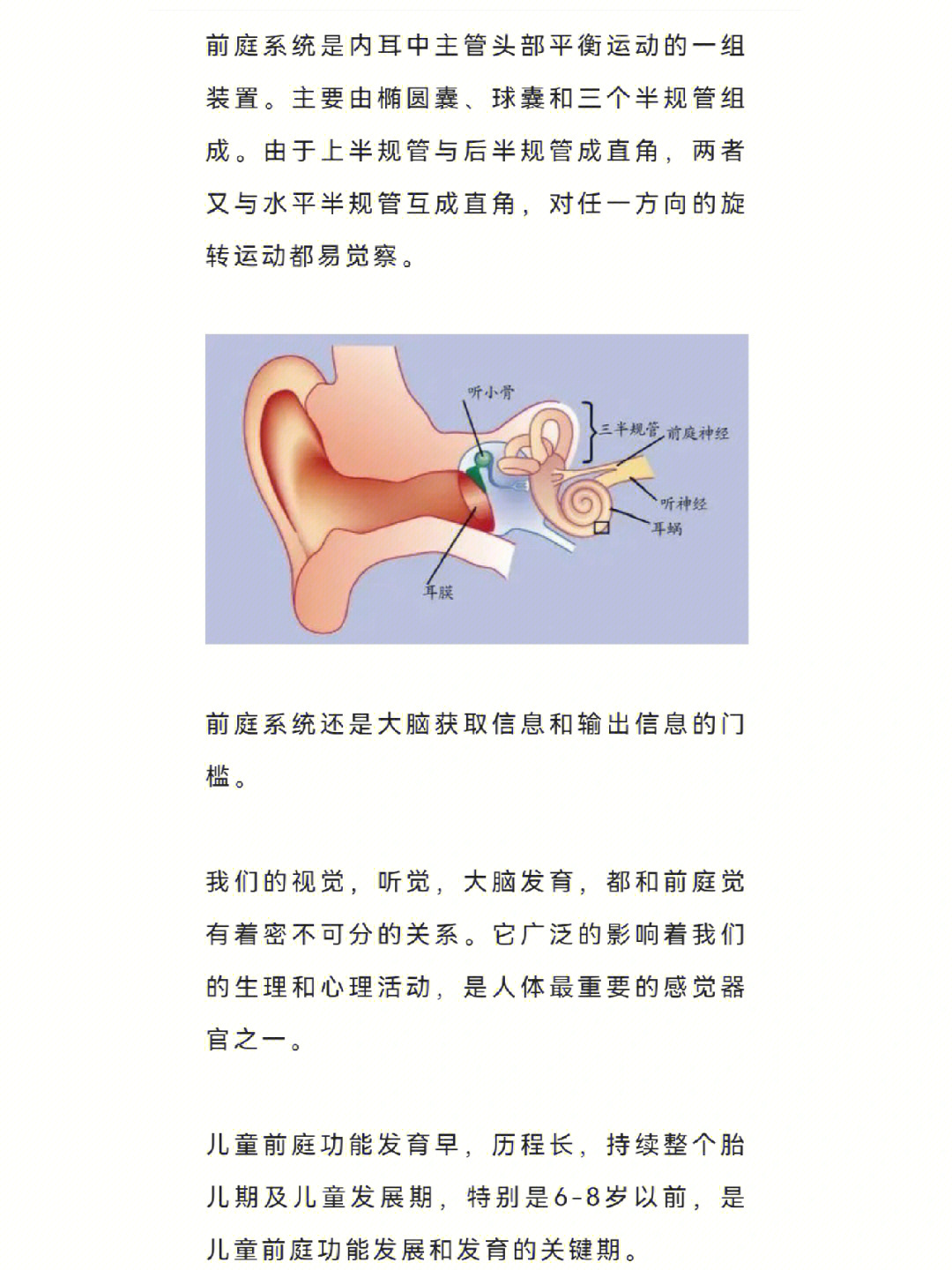 前庭系统是内耳中主管头部平衡运动的一组装置