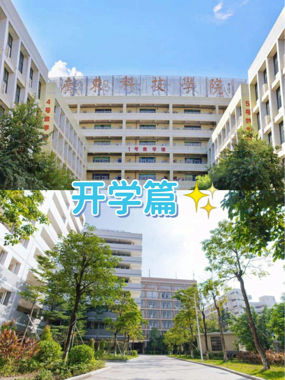 西京学院夺命坡图片图片