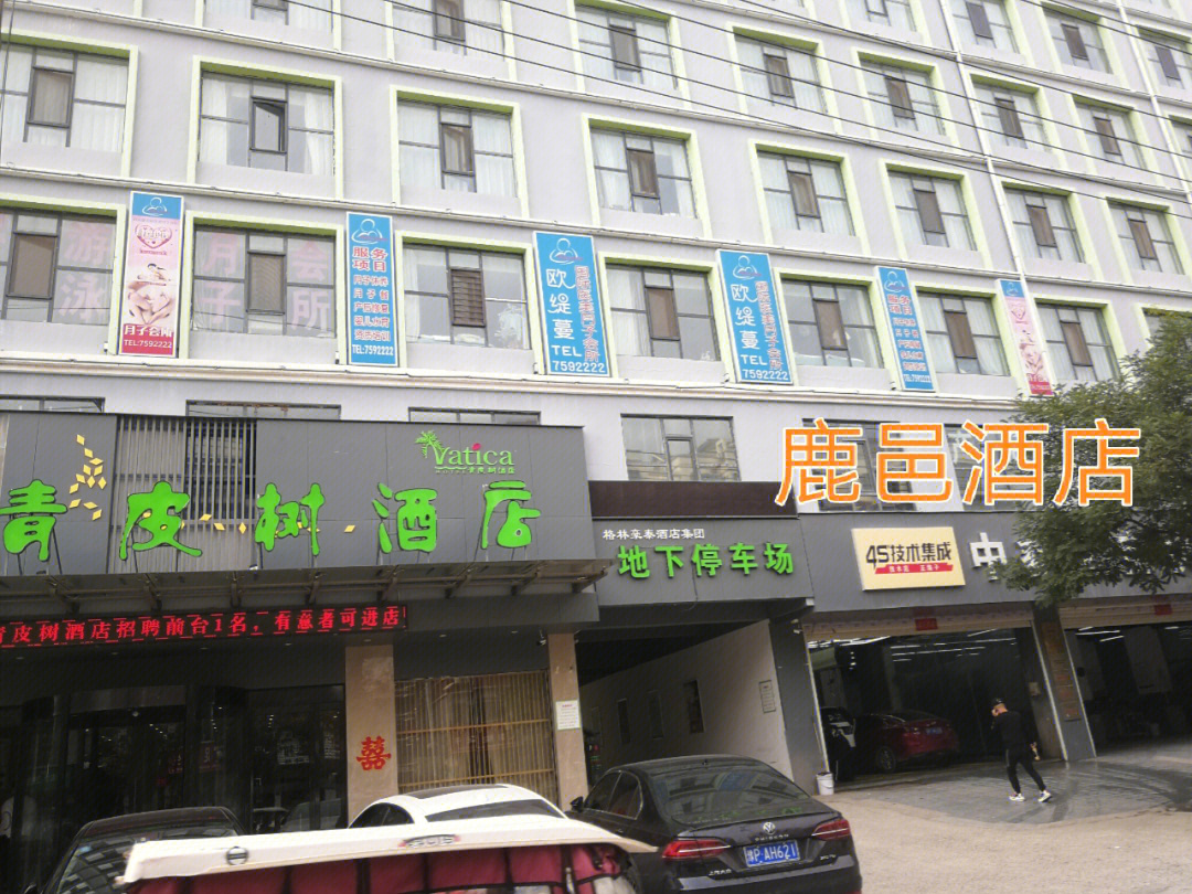 鹿邑酒店鹿邑县格林豪泰酒店鹿邑青皮树