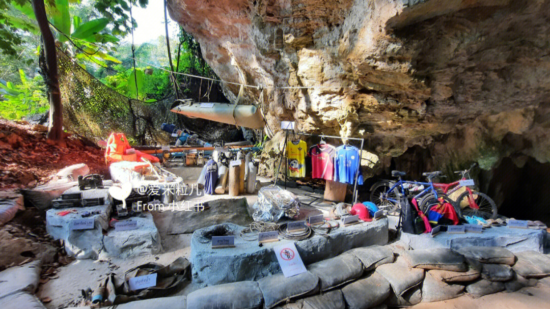 泰国睡美人洞救援档案图片