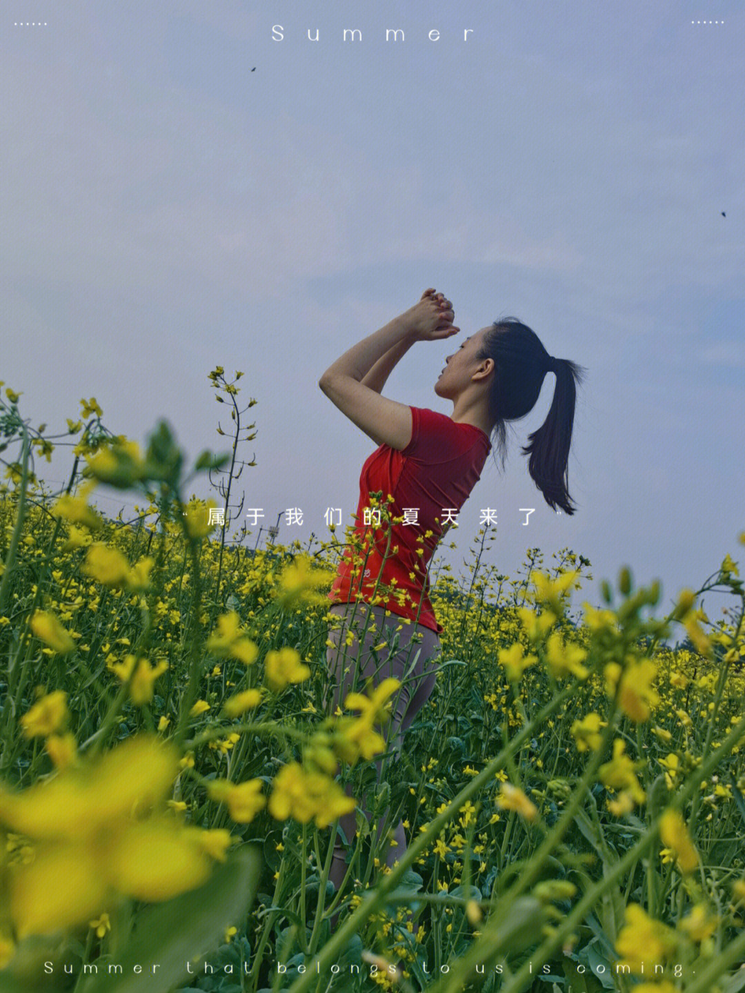 油菜花节节目单图片