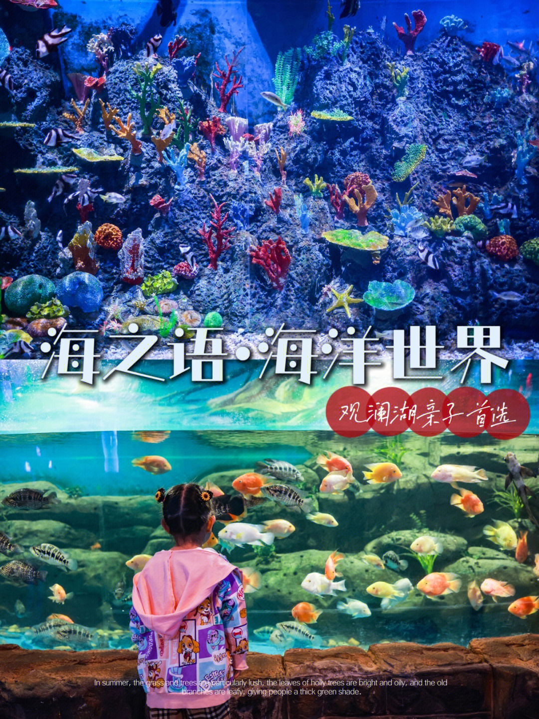 深圳观澜湖海洋馆门票图片
