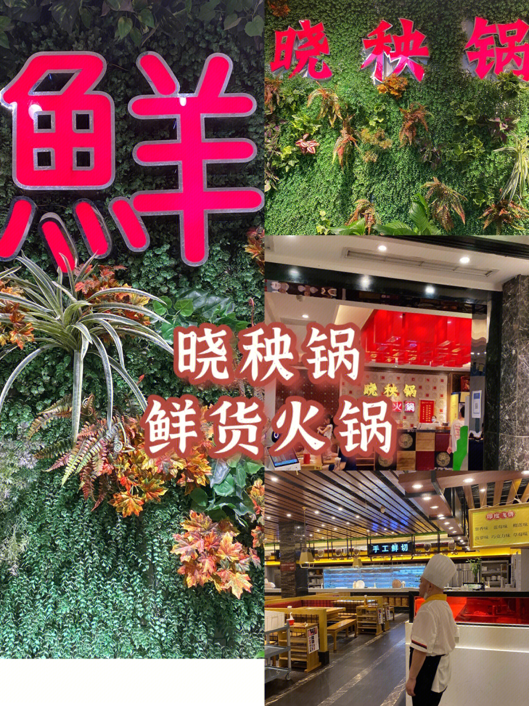 绵阳探店晓秧锅鲜货火锅