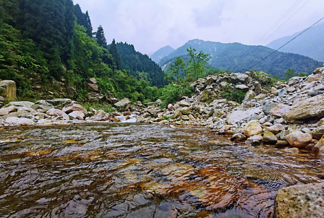 龙池坪森林公园图片