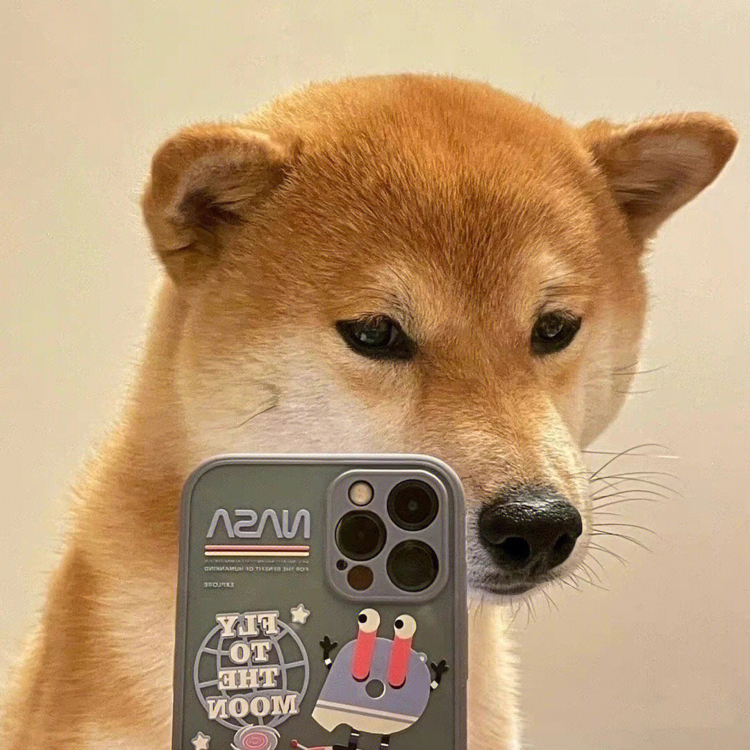 狗狗拿手机自拍头像图片