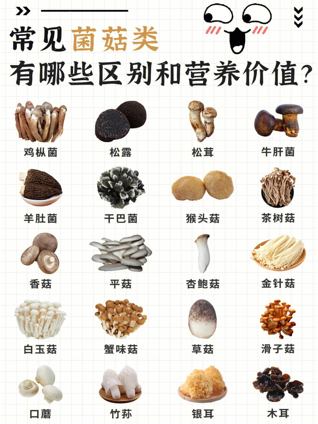 菌菇类指南常见菌菇的区别特点附做法