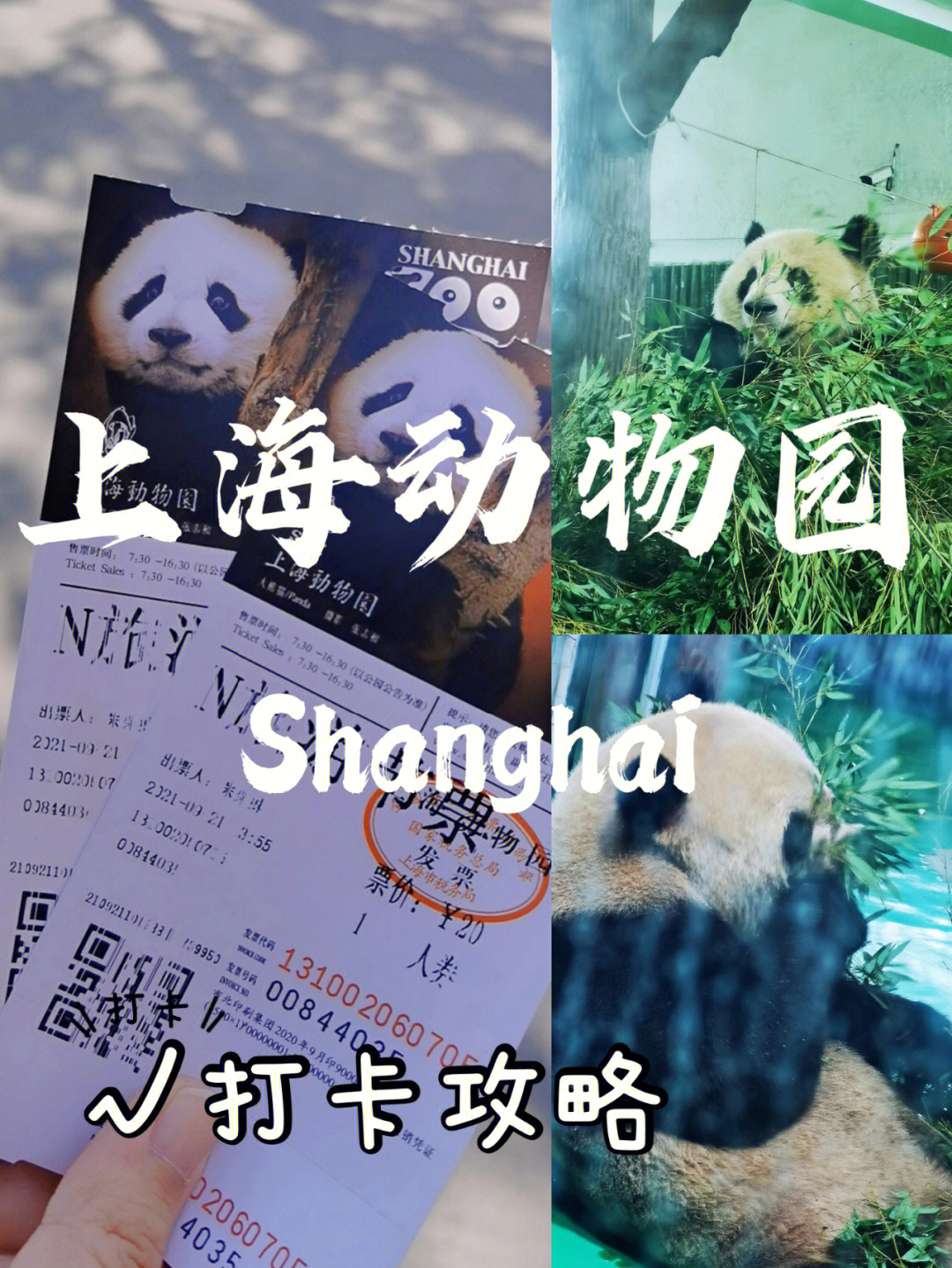 上海动物园上海周边游