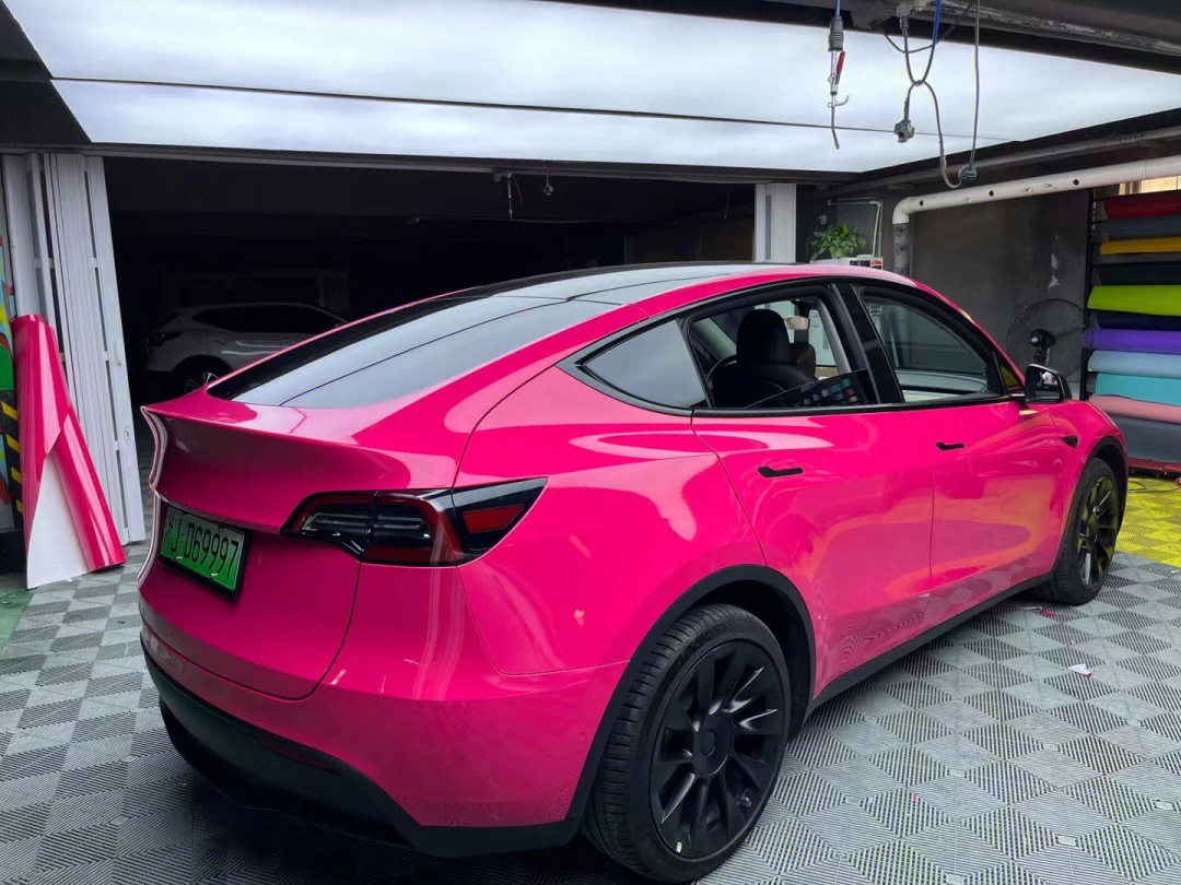 潘通甜菜梗紫的特斯拉modely