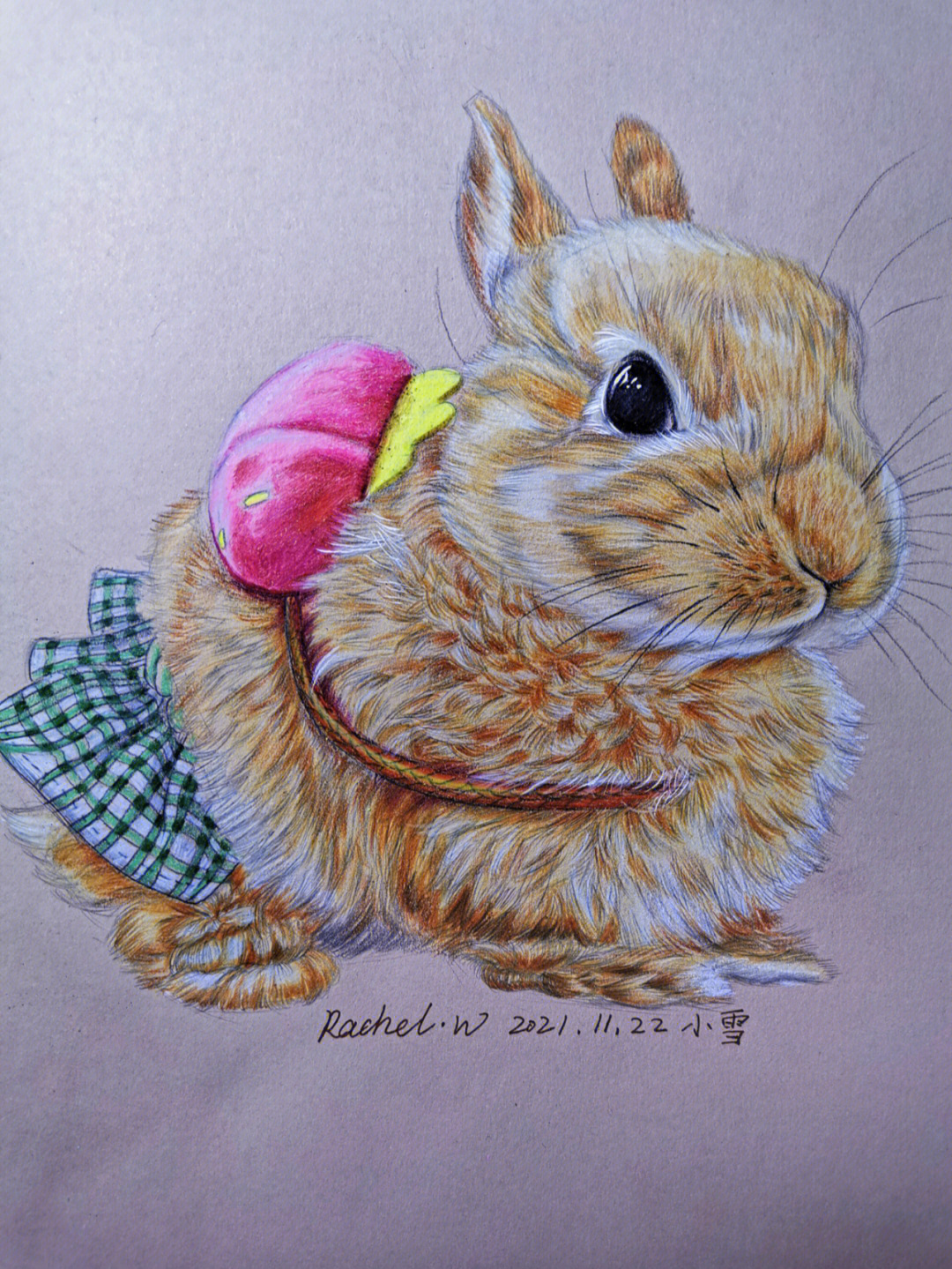 一只小兔叽手绘彩铅插画附步骤