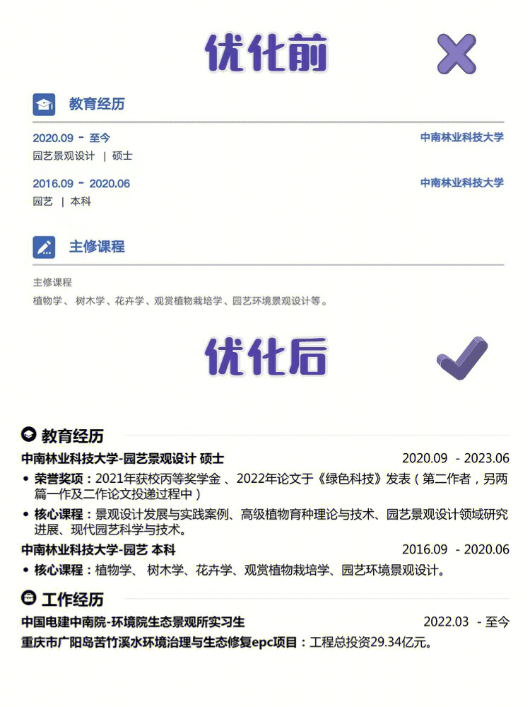 大学教育经历怎么写图片