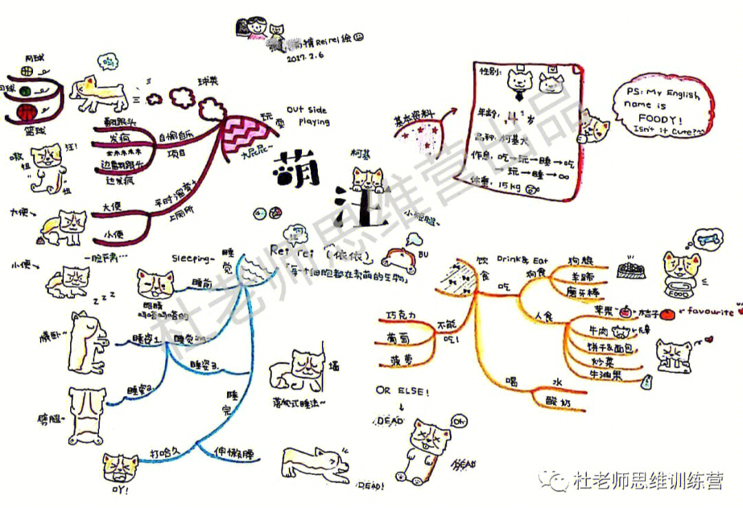 变身狗思维导图图片