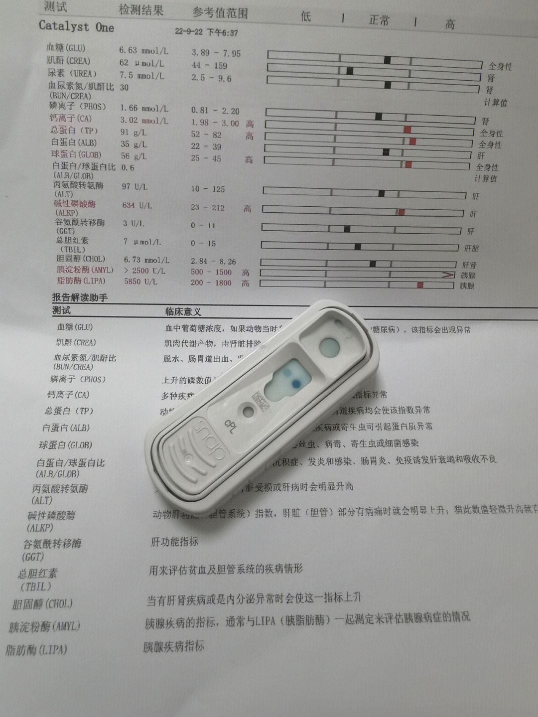 胰腺炎怎么检查图片