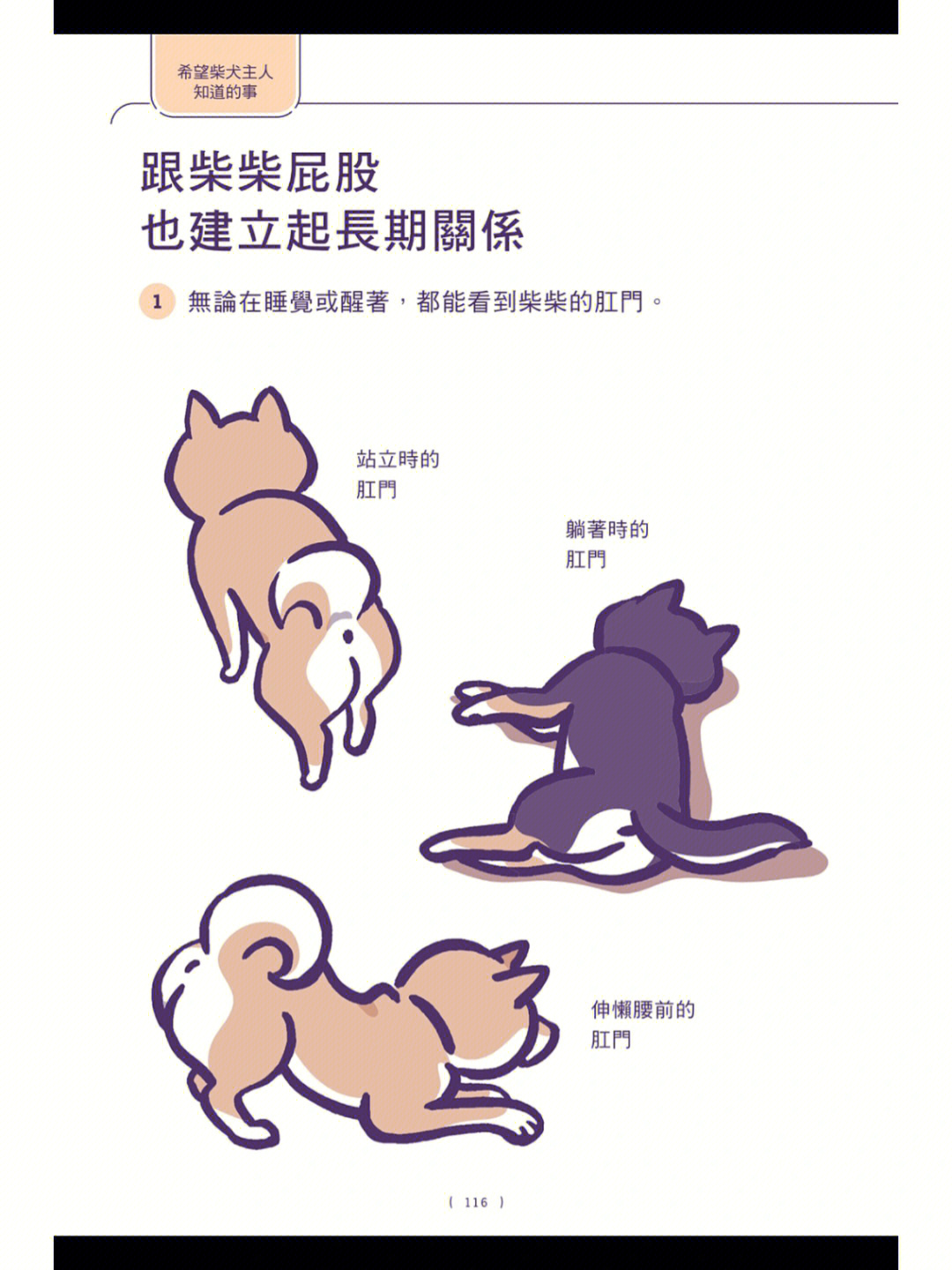 柴犬绅士电子版图片