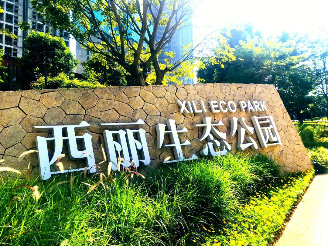 深圳小众景点西丽生态公园