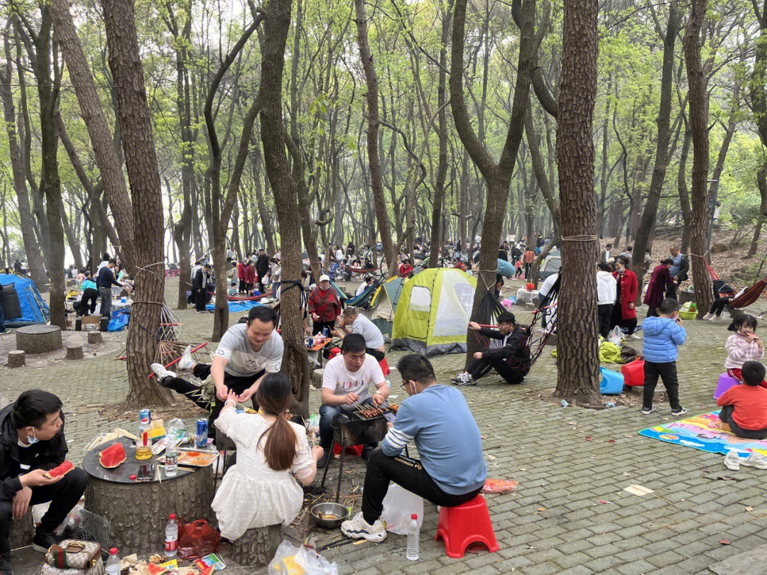 郑州森林公园烧烤区图片