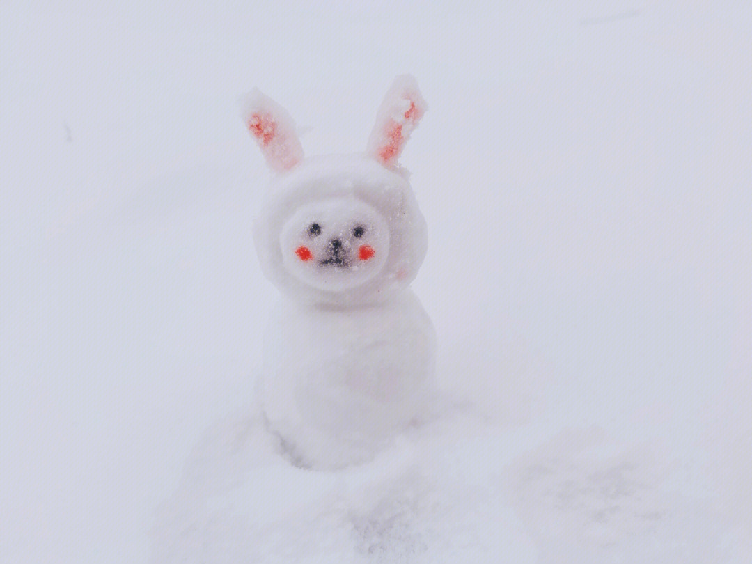 抖音兔子雪人图片