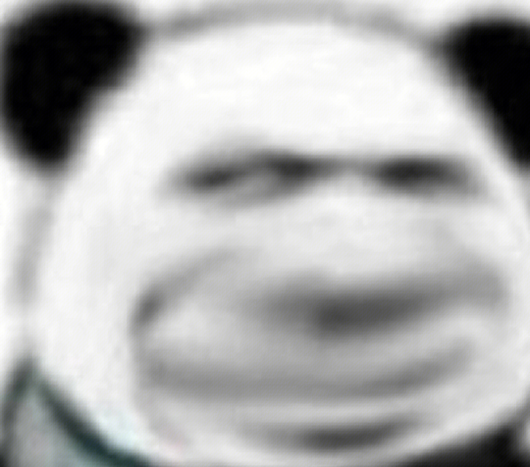 中国人脸熊猫图片