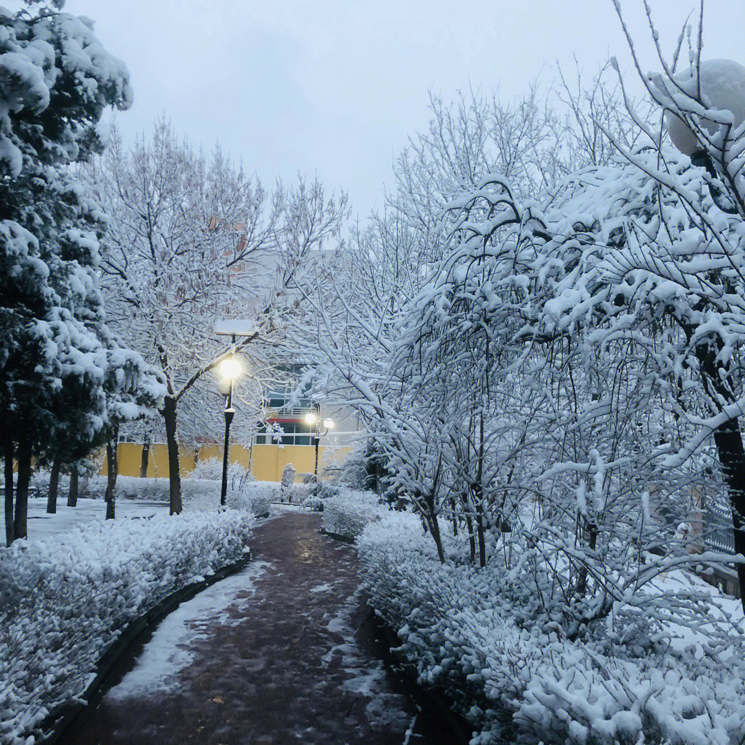 鹅毛大雪的意思图片