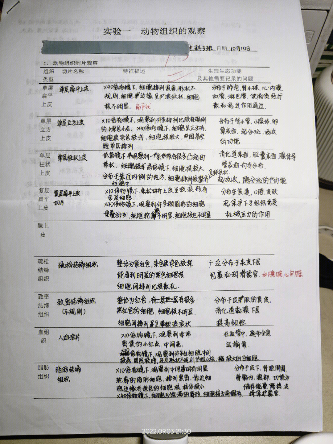 动物生物学实验报告上