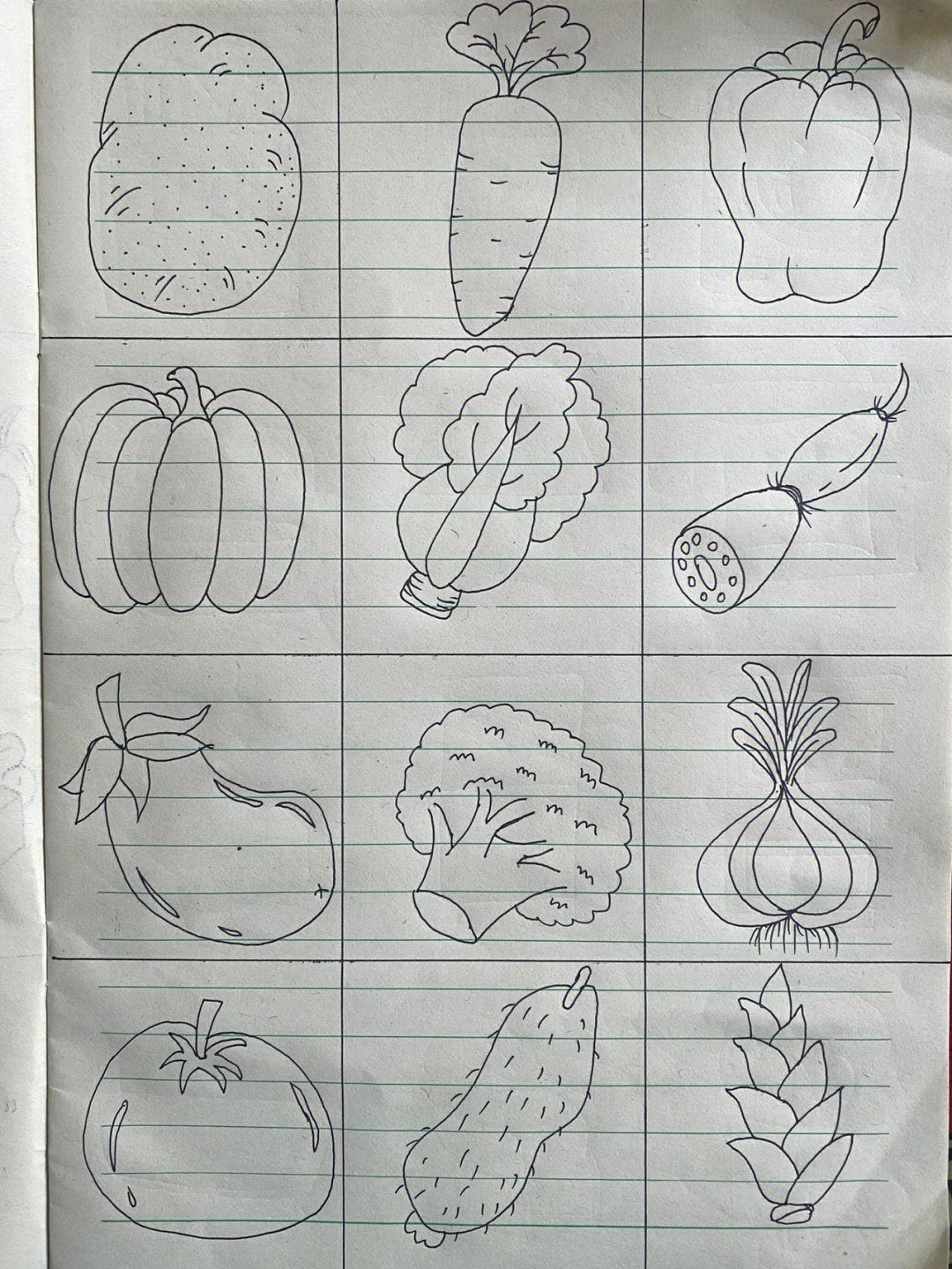 12个蔬菜简笔画