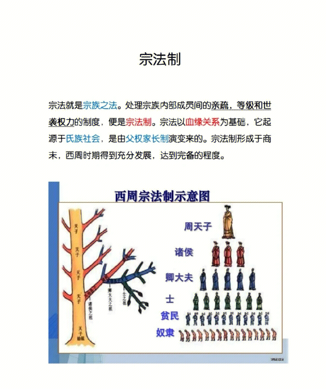 法律树状图图片