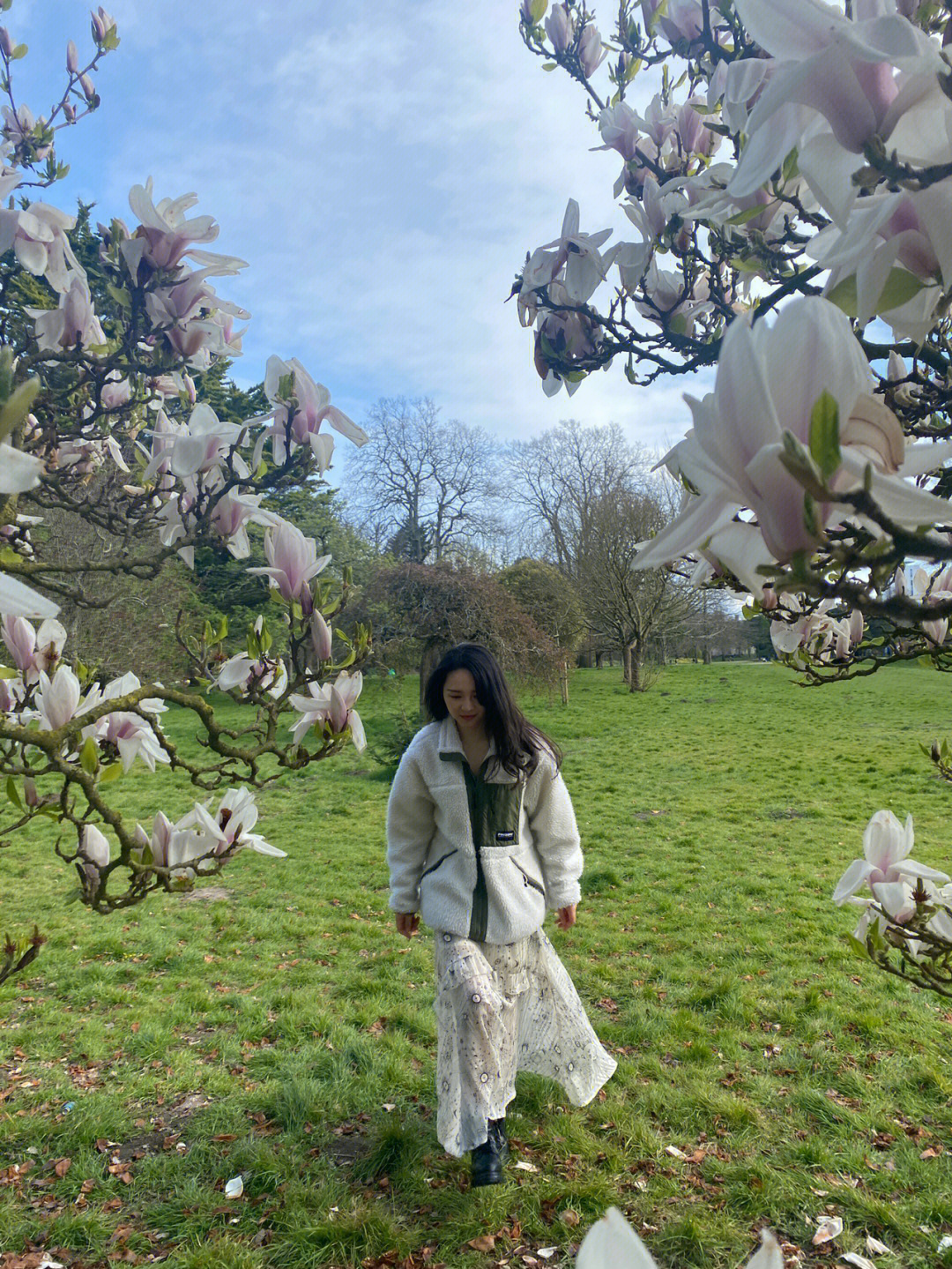 阳光花树草地清清静静又温温馨馨