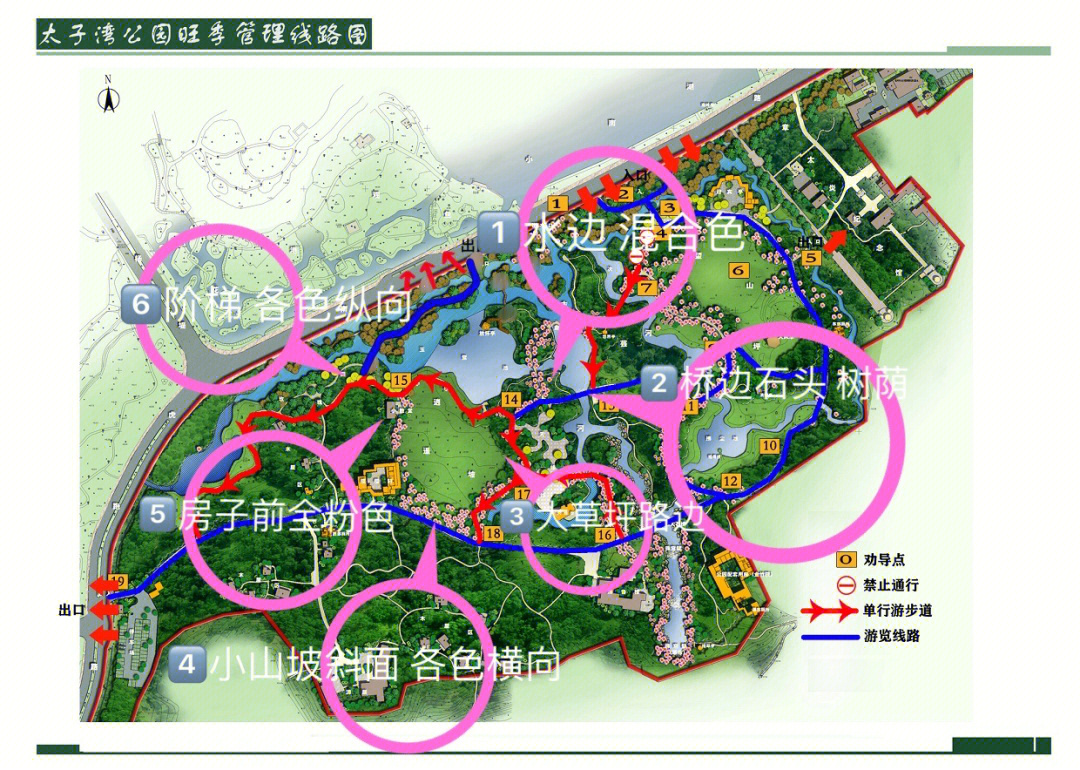 杭州太子湾公园 图解图片