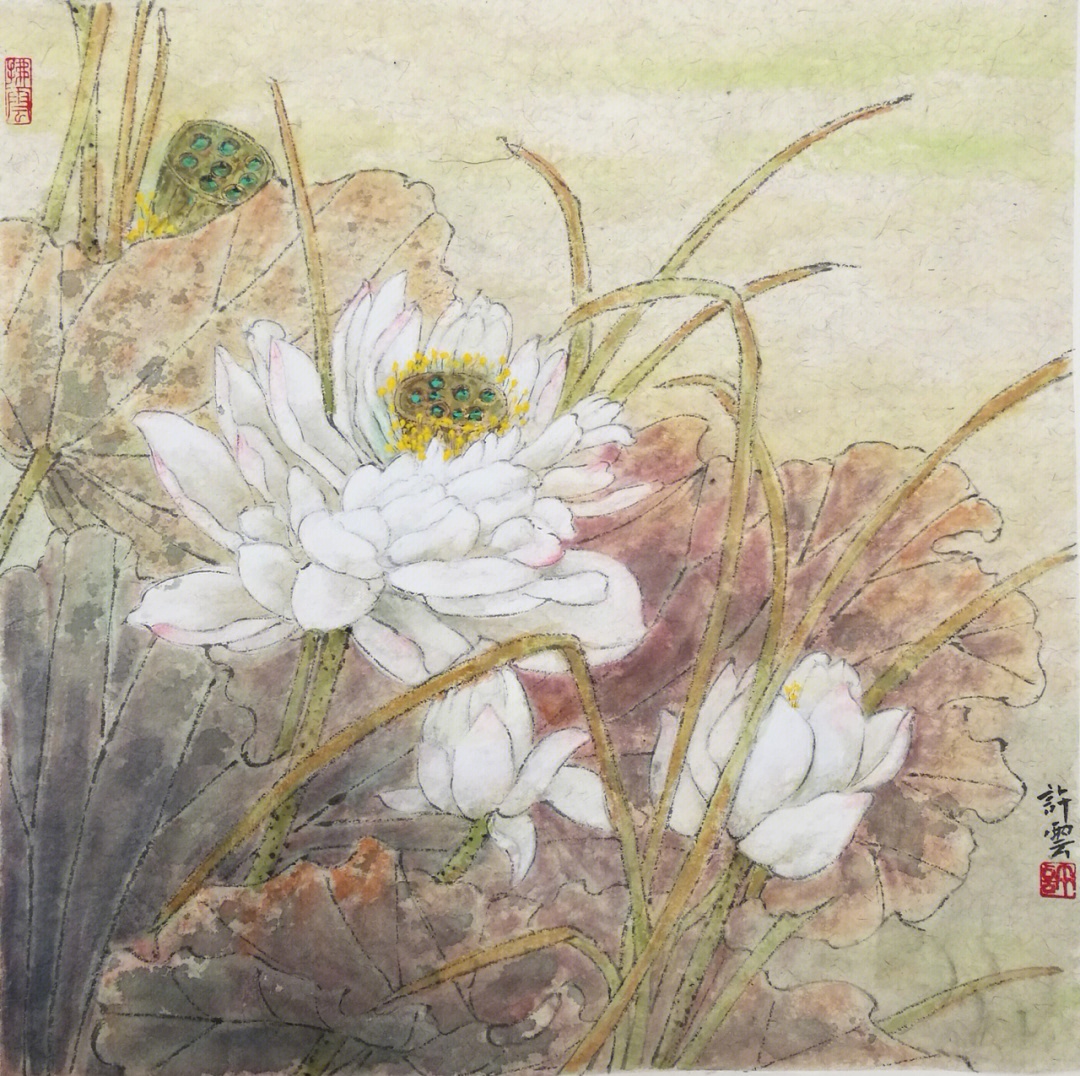 中国美术家协会会员许云花鸟画作品