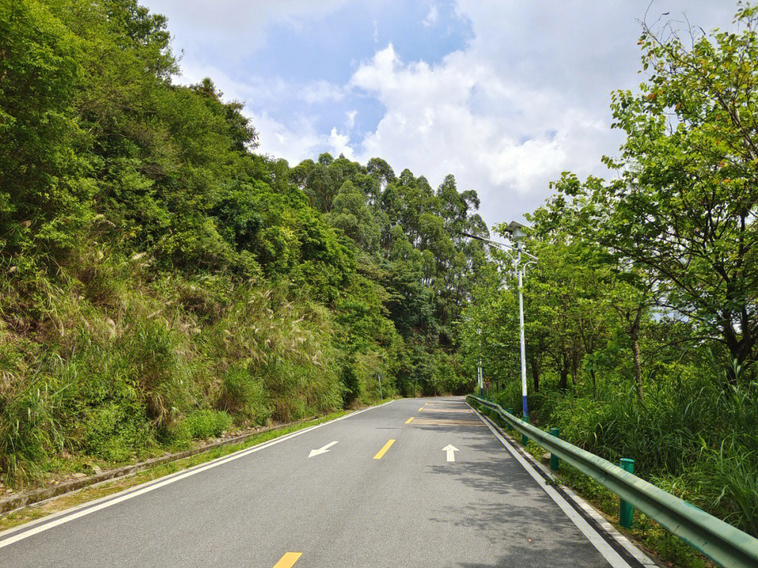 新塘南香山开车上山图片